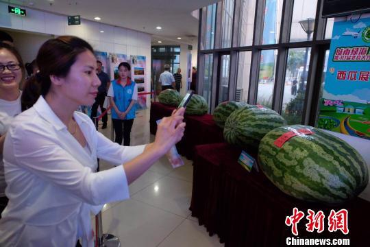 威远吃瓜最新事件爆料新闻,最新爆料揭露惊人内幕  第3张